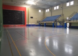 polideportivo san millan